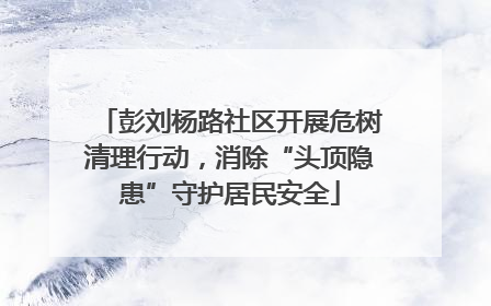 彭刘杨路社区开展危树清理行动，消除“头顶隐患”守护居民安全