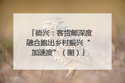 德兴：客货邮深度融合跑出乡村振兴“加速度”（图）