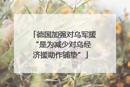 德国加强对乌军援 “是为减少对乌经济援助作铺垫”