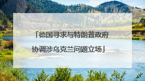 德国寻求与特朗普政府协调涉乌克兰问题立场