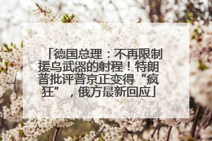 德国总理：不再限制援乌武器的射程！特朗普批评普京正变得“疯狂”，俄方最新回应