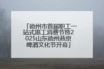 德州市首届职工一站式惠工消费节暨2025山东德州燕京啤酒文化节开幕