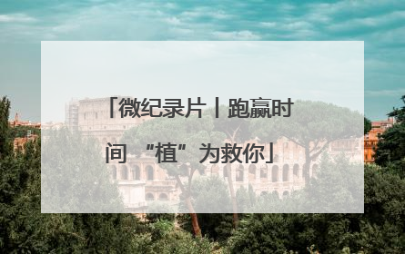 微纪录片丨跑赢时间 “植”为救你
