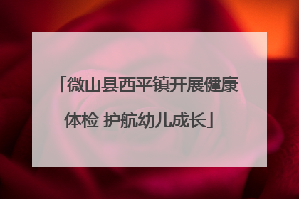 微山县西平镇开展健康体检 护航幼儿成长
