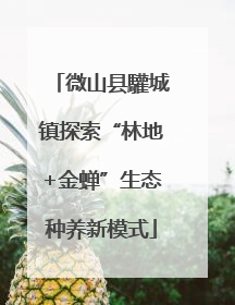 微山县驩城镇探索“林地+金蝉”生态种养新模式