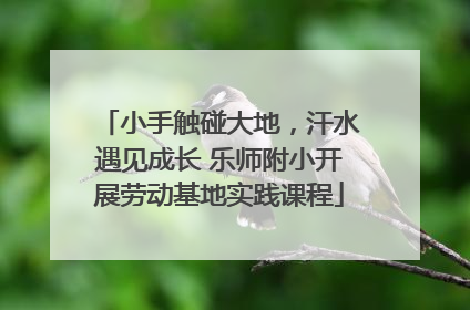 小手触碰大地，汗水遇见成长 乐师附小开展劳动基地实践课程