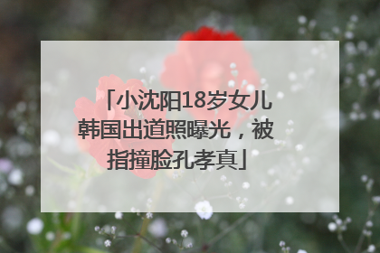 小沈阳18岁女儿韩国出道照曝光，被指撞脸孔孝真