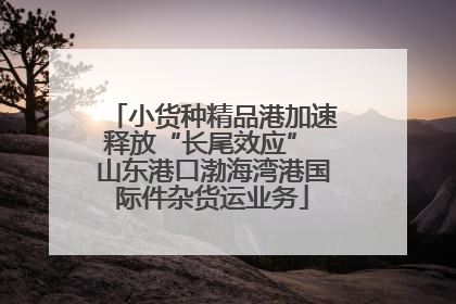 小货种精品港加速释放“长尾效应” 山东港口渤海湾港国际件杂货运业务