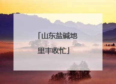 山东盐碱地里丰收忙