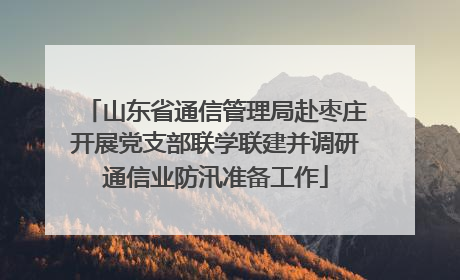 山东省通信管理局赴枣庄开展党支部联学联建并调研通信业防汛准备工作