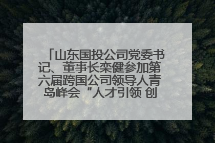 山东国投公司党委书记、董事长栾健参加第六届跨国公司领导人青岛峰会“人才引领 创新驱动”人力资源高质量发展对话会