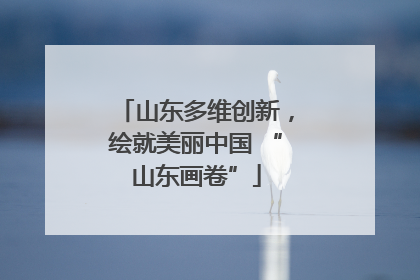 山东多维创新，绘就美丽中国 “山东画卷”