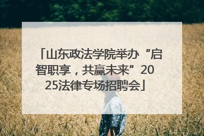 山东政法学院举办“启智职享，共赢未来”2025法律专场招聘会