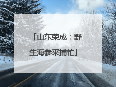 山东荣成：野生海参采捕忙