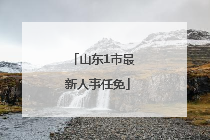 山东1市最新人事任免