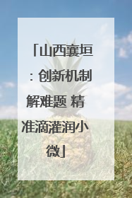 山西襄垣：创新机制解难题 精准滴灌润小微