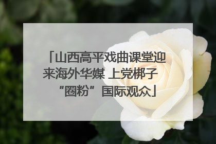 山西高平戏曲课堂迎来海外华媒 上党梆子“圈粉”国际观众