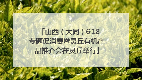 山西（大同）6·18专题促消费暨灵丘有机产品推介会在灵丘举行