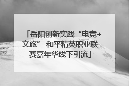岳阳创新实践“电竞+文旅” 和平精英职业联赛嘉年华线下引流