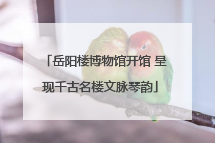 岳阳楼博物馆开馆 呈现千古名楼文脉琴韵