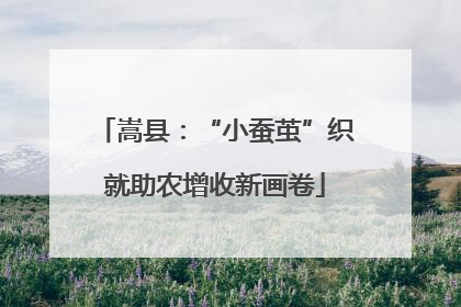 嵩县：“小蚕茧”织就助农增收新画卷