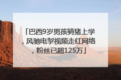 巴西9岁男孩骑猪上学，风驰电掣视频走红网络，粉丝已超125万