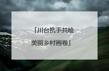 川台携手共绘美丽乡村画卷