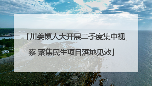 川姜镇人大开展二季度集中视察 聚焦民生项目落地见效