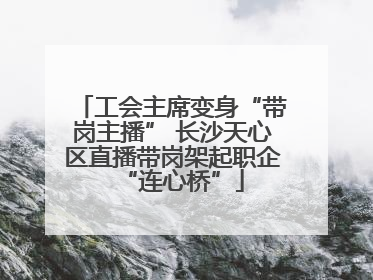 工会主席变身“带岗主播” 长沙天心区直播带岗架起职企“连心桥”