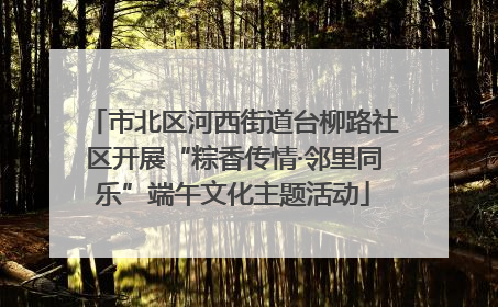 市北区河西街道台柳路社区开展“粽香传情·邻里同乐”端午文化主题活动