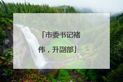 市委书记褚伟，升副部