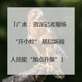 广水：资深记者现场“开小灶” 基层新闻人技能“加点升级”