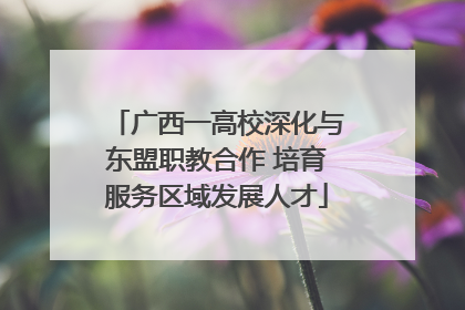 广西一高校深化与东盟职教合作 培育服务区域发展人才