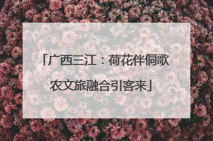广西三江：荷花伴侗歌 农文旅融合引客来