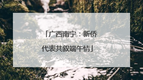 广西南宁：新侨代表共叙端午情