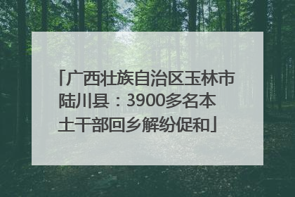广西壮族自治区玉林市陆川县：3900多名本土干部回乡解纷促和