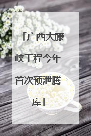 广西大藤峡工程今年首次预泄腾库
