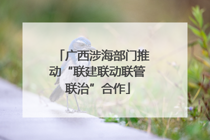 广西涉海部门推动“联建联动联管联治”合作