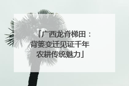 广西龙脊梯田：背篓变迁见证千年农耕传统魅力