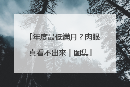 年度最低满月？肉眼真看不出来｜图集