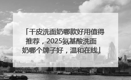 干皮洗面奶哪款好用值得推荐，2025氨基酸洗面奶哪个牌子好，温和在线
