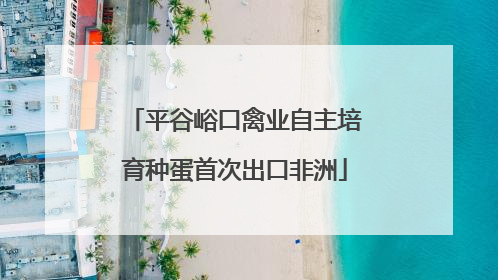 平谷峪口禽业自主培育种蛋首次出口非洲