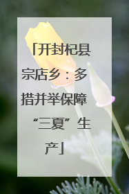 开封杞县宗店乡：多措并举保障“三夏”生产