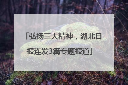弘扬三大精神，湖北日报连发3篇专题报道