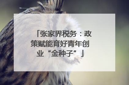 张家界税务：政策赋能育好青年创业“金种子”