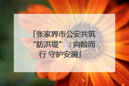 张家界市公安共筑“防洪堤”：向险而行 守护安澜