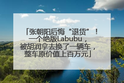张朝阳后悔“退货”！一个绝版Labubu，被胡润拿去换了一辆车，整车原价值上百万元