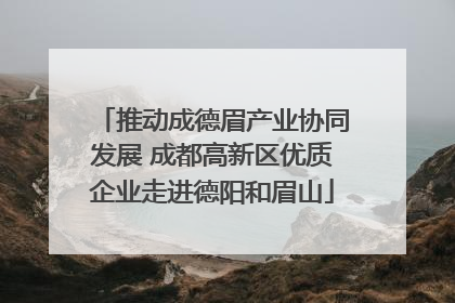 推动成德眉产业协同发展 成都高新区优质企业走进德阳和眉山