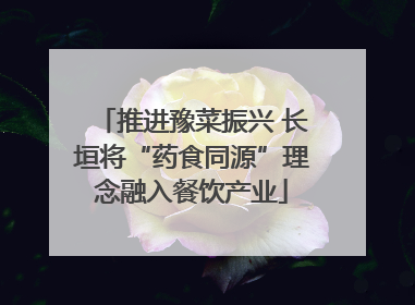 推进豫菜振兴 长垣将“药食同源”理念融入餐饮产业
