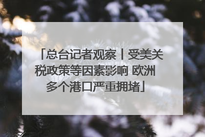 总台记者观察丨受美关税政策等因素影响 欧洲多个港口严重拥堵